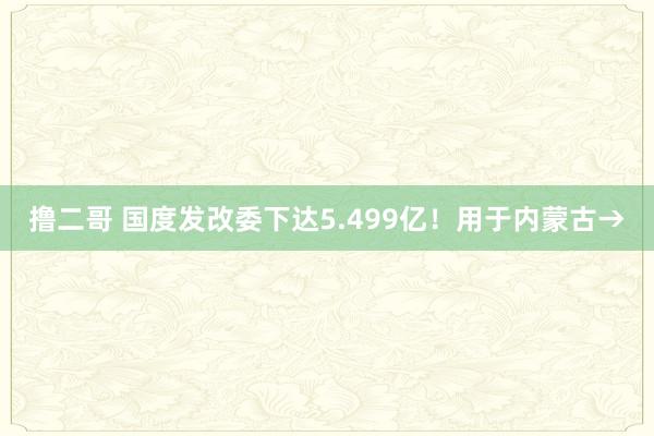 撸二哥 国度发改委下达5.499亿！用于内蒙古→