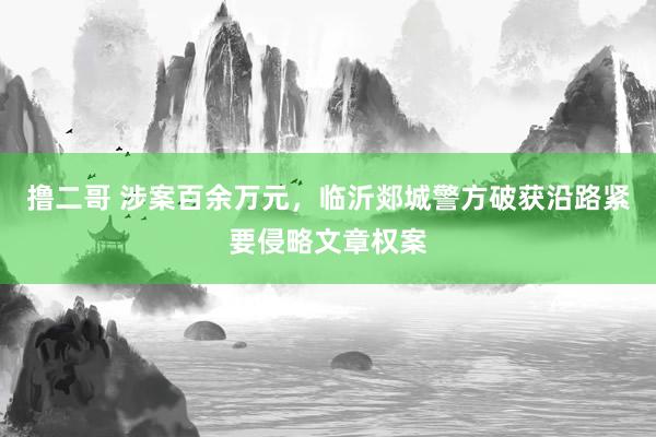 撸二哥 涉案百余万元，临沂郯城警方破获沿路紧要侵略文章权案