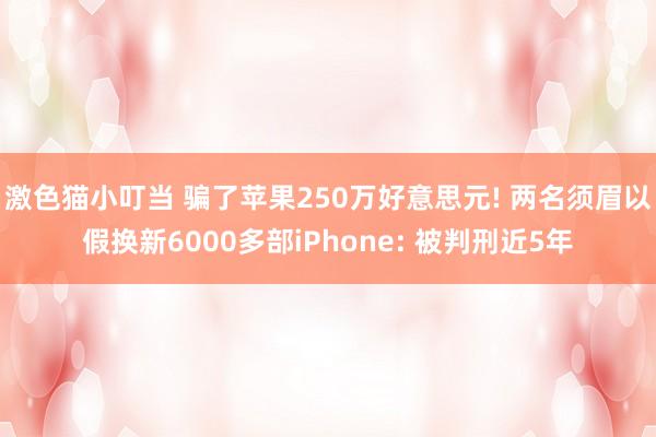 激色猫小叮当 骗了苹果250万好意思元! 两名须眉以假换新6000多部iPhone: 被判刑近5年