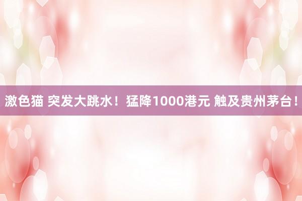 激色猫 突发大跳水！猛降1000港元 触及贵州茅台！