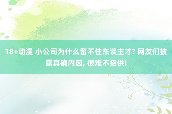 18+动漫 小公司为什么留不住东谈主才? 网友们披露真确内因， 很难不招供!