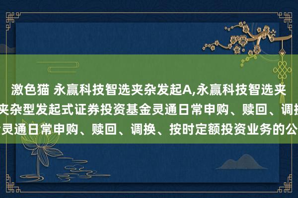激色猫 永赢科技智选夹杂发起A,永赢科技智选夹杂发起C: 永赢科技智选夹杂型发起式证券投资基金灵通日常申购、赎回、调换、按时定额投资业务的公告