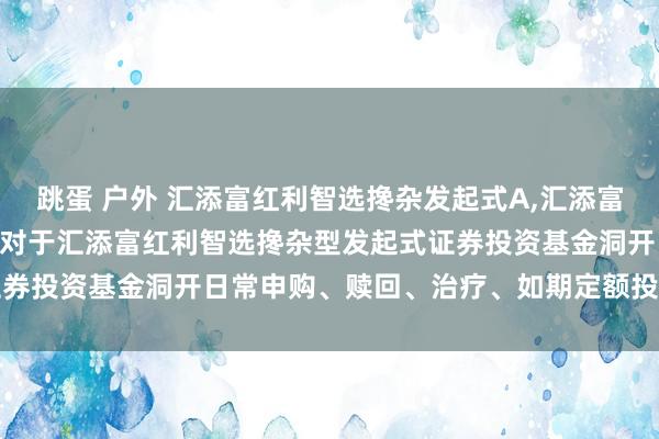 跳蛋 户外 汇添富红利智选搀杂发起式A,汇添富红利智选搀杂发起式C: 对于汇添富红利智选搀杂型发起式证券投资基金洞开日常申购、赎回、治疗、如期定额投资业务公告