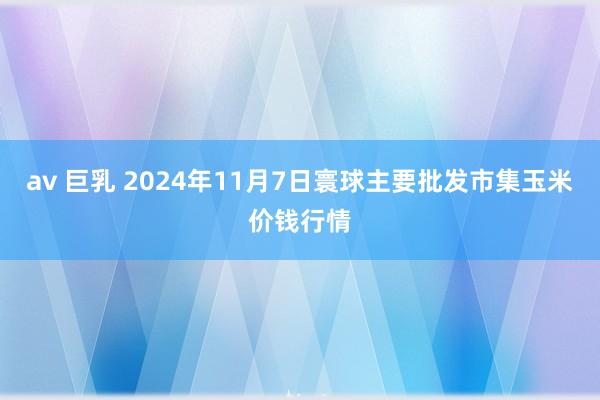 av 巨乳 2024年11月7日寰球主要批发市集玉米价钱行情