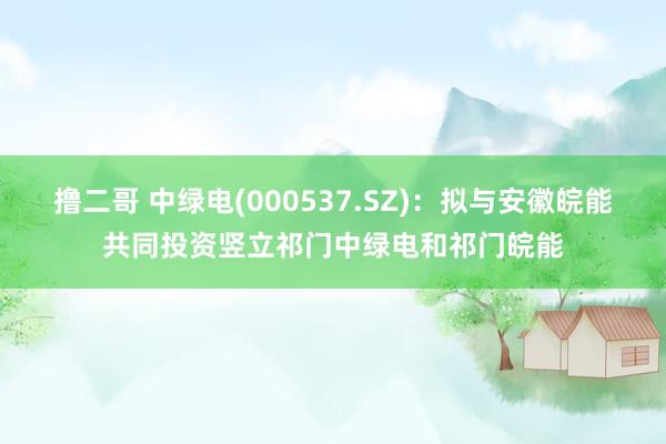 撸二哥 中绿电(000537.SZ)：拟与安徽皖能共同投资竖立祁门中绿电和祁门皖能