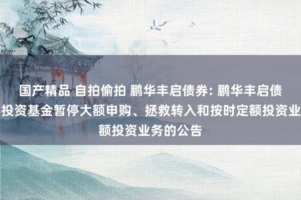国产精品 自拍偷拍 鹏华丰启债券: 鹏华丰启债券型证券投资基金暂停大额申购、拯救转入和按时定额投资业务的公告