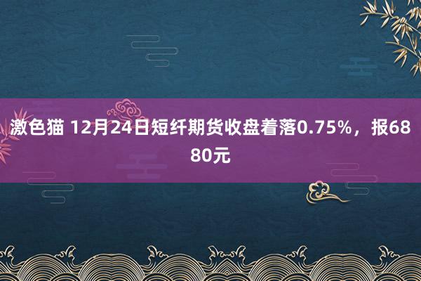 激色猫 12月24日短纤期货收盘着落0.75%，报6880元