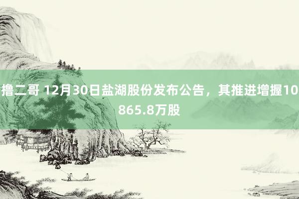 撸二哥 12月30日盐湖股份发布公告,其推进增握10865.8万股