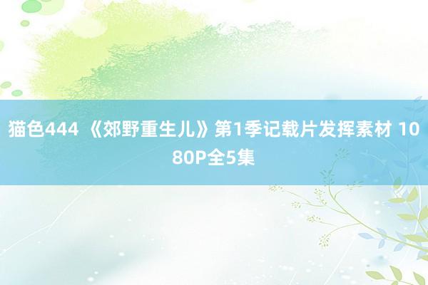 猫色444 《郊野重生儿》第1季记载片发挥素材 1080P全5集
