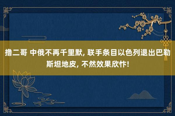 撸二哥 中俄不再千里默， 联手条目以色列退出巴勒斯坦地皮， 不然效果欣忭!