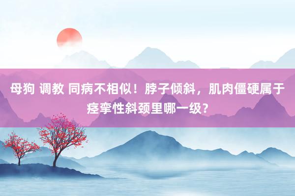 母狗 调教 同病不相似！脖子倾斜，肌肉僵硬属于痉挛性斜颈里哪一级？