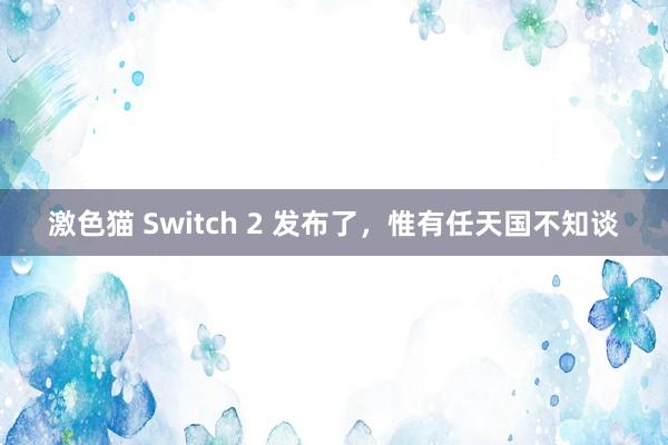 激色猫 Switch 2 发布了，惟有任天国不知谈
