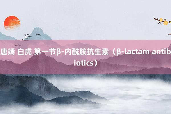 唐嫣 白虎 第一节　β-内酰胺抗生素（β-lactam antibiotics）