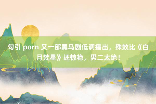 勾引 porn 又一部黑马剧低调播出，殊效比《白月梵星》还惊艳，男二太绝！