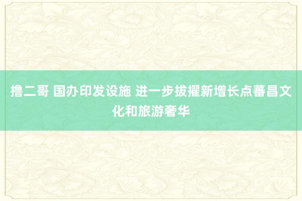 撸二哥 国办印发设施 进一步拔擢新增长点蕃昌文化和旅游奢华