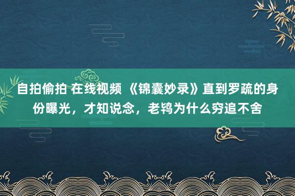 自拍偷拍 在线视频 《锦囊妙录》直到罗疏的身份曝光，才知说念，老鸨为什么穷追不舍