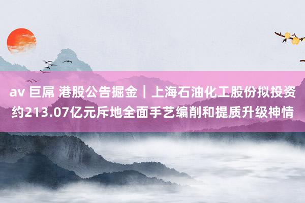 av 巨屌 港股公告掘金｜上海石油化工股份拟投资约213.07亿元斥地全面手艺编削和提质升级神情