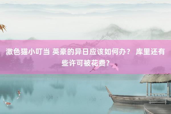 激色猫小叮当 英豪的异日应该如何办？ 库里还有些许可被花费？