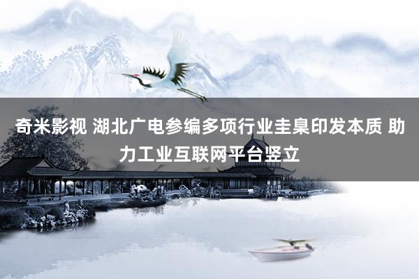 奇米影视 湖北广电参编多项行业圭臬印发本质 助力工业互联网平台竖立