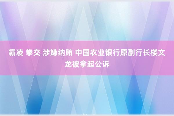 霸凌 拳交 涉嫌纳贿 中国农业银行原副行长楼文龙被拿起公诉