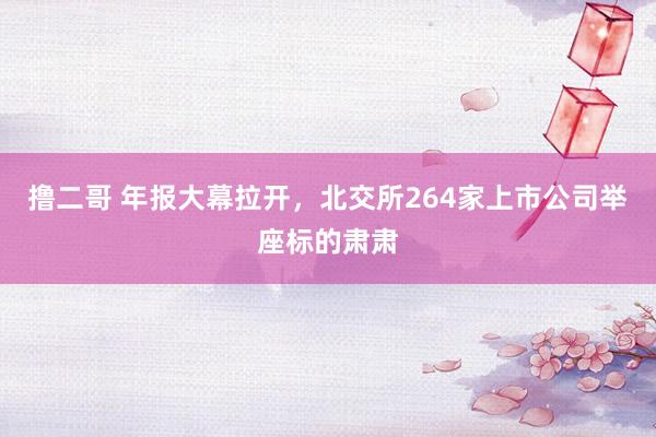 撸二哥 年报大幕拉开，北交所264家上市公司举座标的肃肃