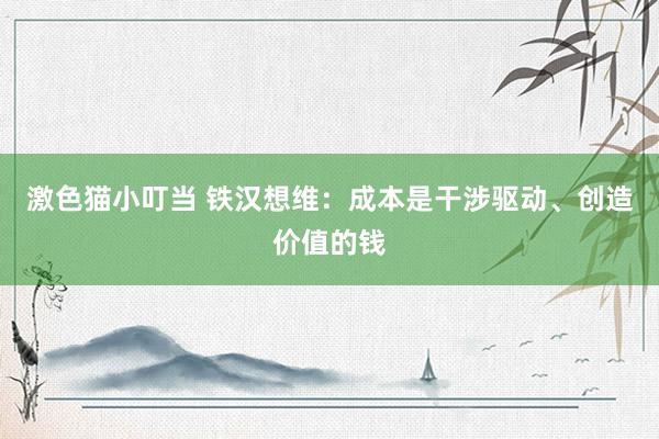 激色猫小叮当 铁汉想维：成本是干涉驱动、创造价值的钱
