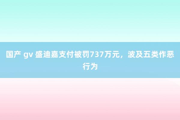 国产 gv 盛迪嘉支付被罚737万元，波及五类作恶行为