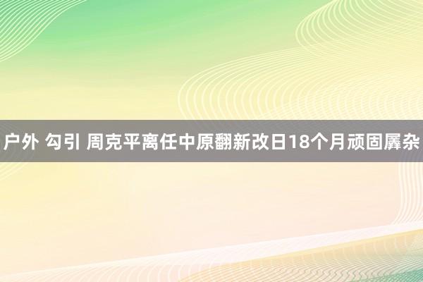 户外 勾引 周克平离任中原翻新改日18个月顽固羼杂