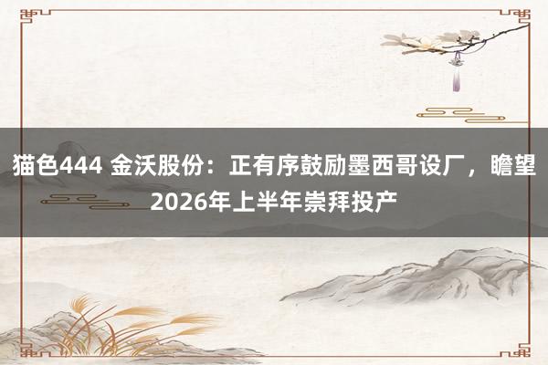 猫色444 金沃股份：正有序鼓励墨西哥设厂，瞻望2026年上半年崇拜投产