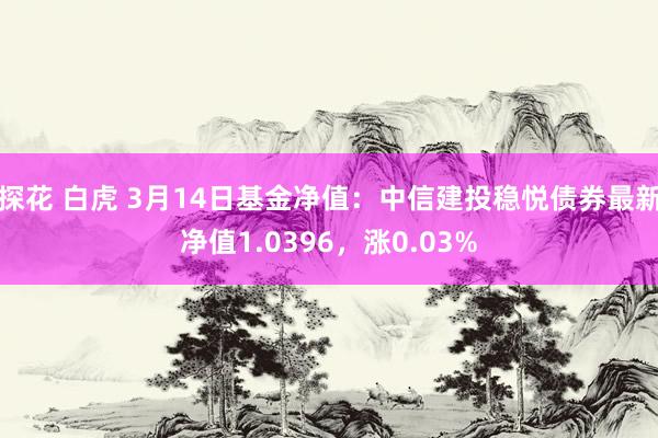 探花 白虎 3月14日基金净值：中信建投稳悦债券最新净值1.0396，涨0.03%