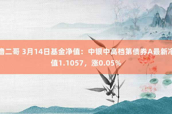 撸二哥 3月14日基金净值：中银中高档第债券A最新净值1.1057，涨0.05%