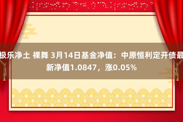 极乐净土 裸舞 3月14日基金净值：中原恒利定开债最新净值1.0847，涨0.05%