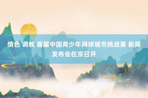 情色 调教 首届中国青少年网球城市挑战赛 新闻发布会在京召开