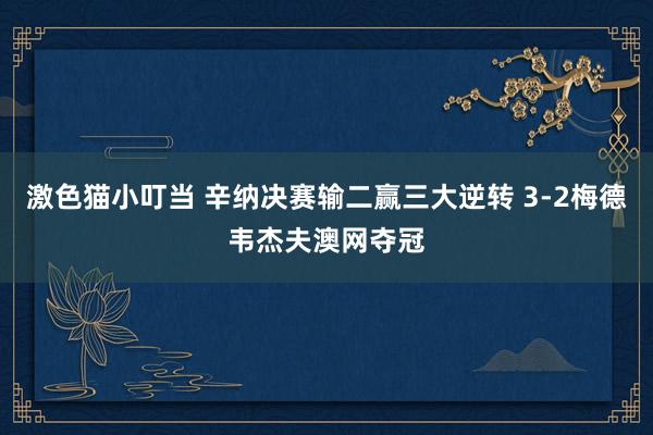 激色猫小叮当 辛纳决赛输二赢三大逆转 3-2梅德韦杰夫澳网夺冠