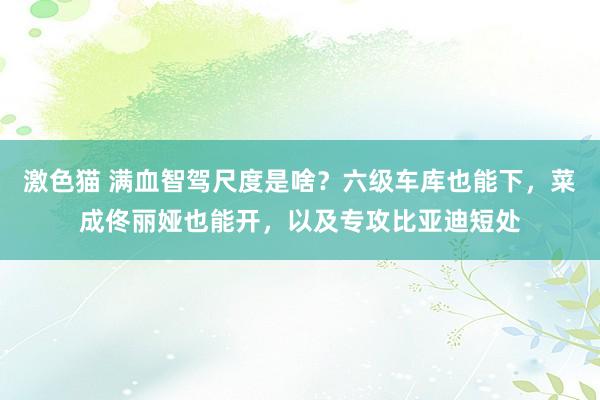 激色猫 满血智驾尺度是啥？六级车库也能下，菜成佟丽娅也能开，以及专攻比亚迪短处