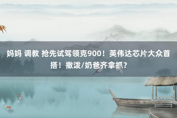 妈妈 调教 抢先试驾领克900！英伟达芯片大众首搭！撒泼/奶爸齐拿抓？