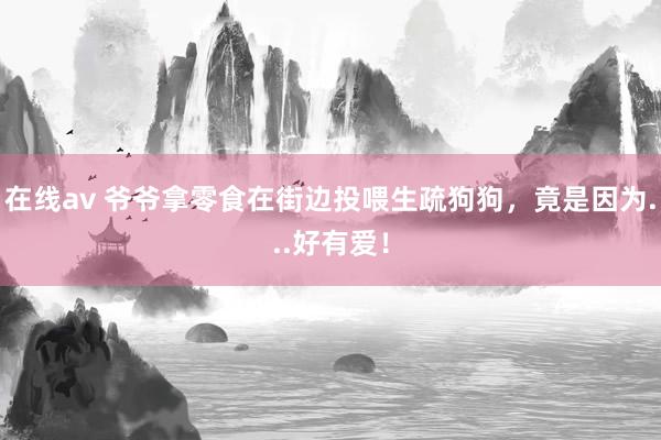 在线av 爷爷拿零食在街边投喂生疏狗狗，竟是因为...好有爱！