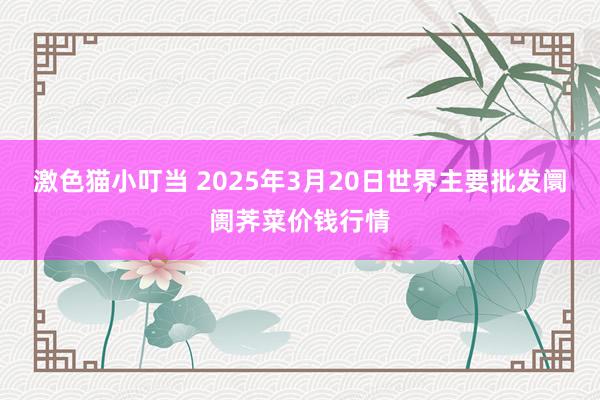 激色猫小叮当 2025年3月20日世界主要批发阛阓荠菜价钱行情