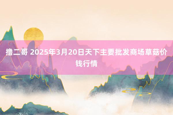 撸二哥 2025年3月20日天下主要批发商场草菇价钱行情