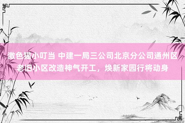 激色猫小叮当 中建一局三公司北京分公司通州区老旧小区改造神气开工，焕新家园行将动身