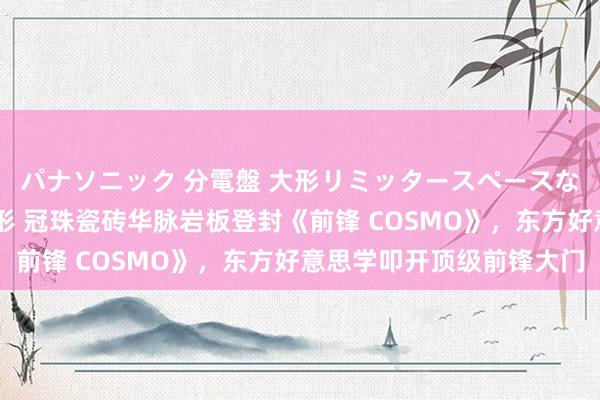 パナソニック 分電盤 大形リミッタースペースなし 露出・半埋込両用形 冠珠瓷砖华脉岩板登封《前锋 COSMO》，东方好意思学叩开顶级前锋大门