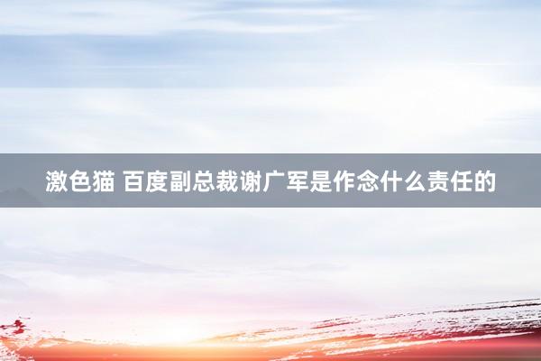 激色猫 百度副总裁谢广军是作念什么责任的