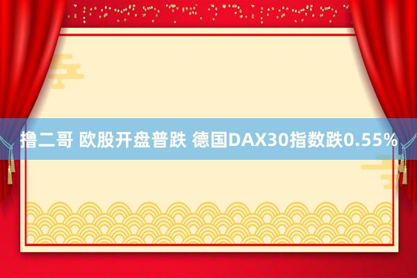 撸二哥 欧股开盘普跌 德国DAX30指数跌0.55%