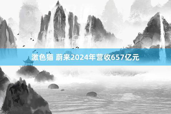 激色猫 蔚来2024年营收657亿元