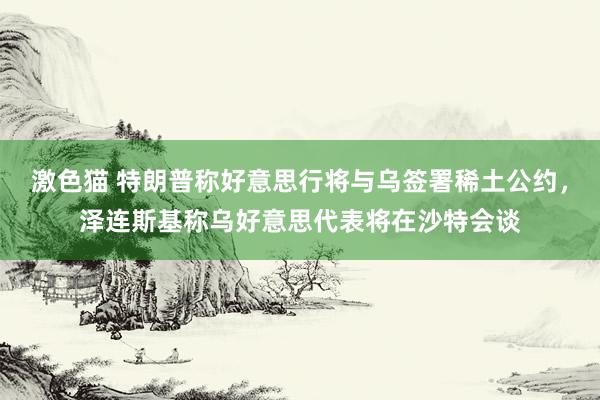 激色猫 特朗普称好意思行将与乌签署稀土公约，泽连斯基称乌好意思代表将在沙特会谈