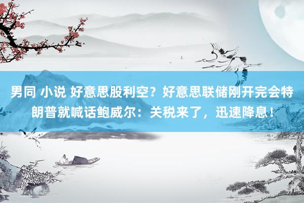 男同 小说 好意思股利空？好意思联储刚开完会特朗普就喊话鲍威尔：关税来了，迅速降息！