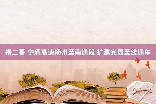 撸二哥 宁通高速扬州至南通段 扩建完周至线通车