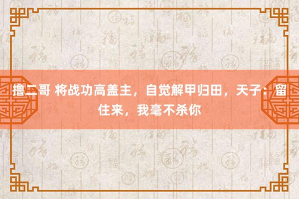 撸二哥 将战功高盖主，自觉解甲归田，天子：留住来，我毫不杀你