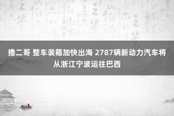 撸二哥 整车装箱加快出海 2787辆新动力汽车将从浙江宁波运往巴西