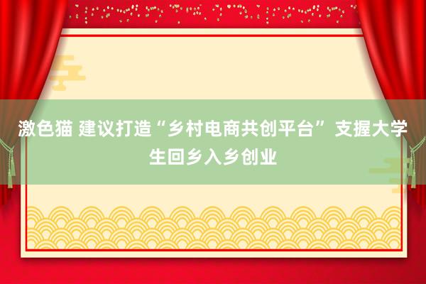 激色猫 建议打造“乡村电商共创平台” 支握大学生回乡入乡创业